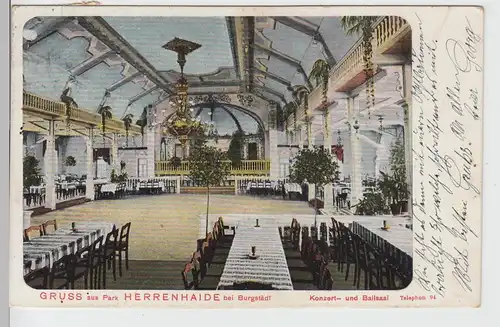 (110878) AK Gruss aus Park Herrenhaide b. Burgstädt, Ballsaal, 1906