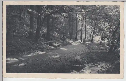 (110088) AK Oberschlema, Erzgebirge, Eichhörnchenbrunnen, Poetenweg 1939