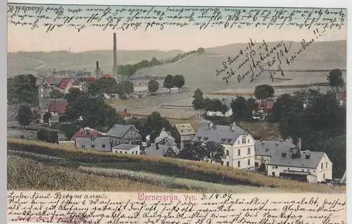 (109832) AK Wernesgrün, Vogtland, Panorama 1904