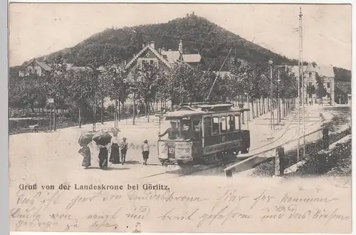(109691) AK Gruß von der Landeskrone Görlitz, Straßenbahn 1906