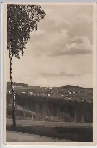 (109023) Foto AK Vogelsgrün, Auerbach, Vogtland, Blick zum Ort 1931