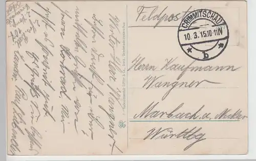 (108705) AK Crimmitschau, Sachsen, Schwanenteich, Sahnpark, Feldpost 1915