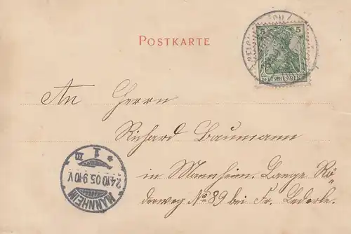 (107947) AK Reichenbach, Vogtland, Stadtkirche St. Peter und Paul 1905