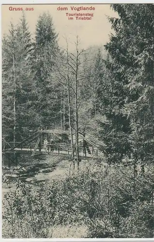 (107101) AK Gruß aus dem Vogtlande, Touristensteg im Triebtal, Brücke, vor 1945