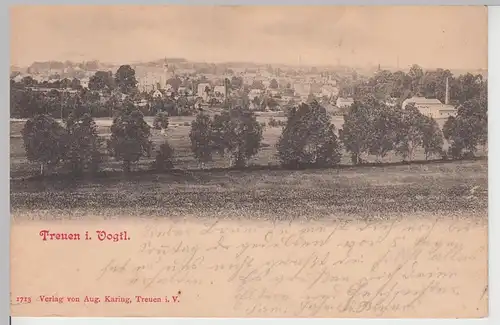 (106851) AK Treuen, Vogtland, Panorama 1906