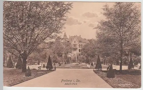 (106520) AK Freiberg i.Sa., Albert-Park um 1910