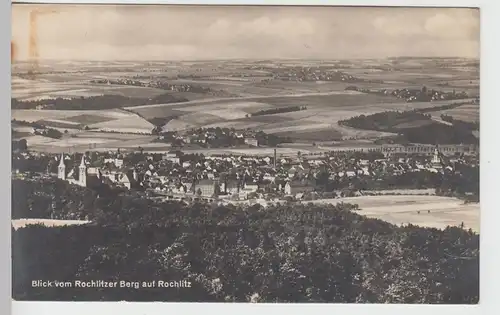 (106429) Foto AK Rochlitz, Blick vom Rochlitzer Berg 1920er