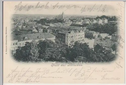 (106410) AK Gruss aus Mittweida, Partie 1901