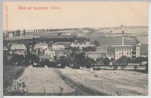 (105273) AK Lunzenau (Mulde) Ansicht mit Fabrik, um 1910