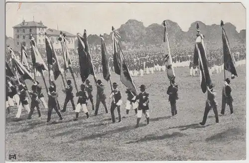 (105265) AK Pirna, Gauturnfest d. Mittel-Elbegaues 1912