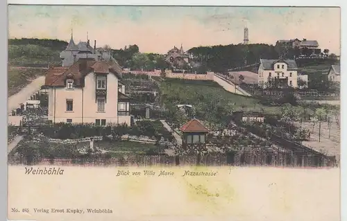 (105260) AK Winböhla, Blick von Villa Marie a.d. Nizzastraße, vor 1905