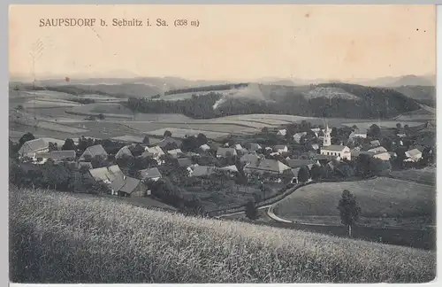 (105252) AK Saupsdorf bei Sebnitz, Gesamtansicht 1909