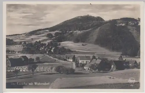 (105180) Foto AK Lausche bei Waltersdorf, Lausitz 1930