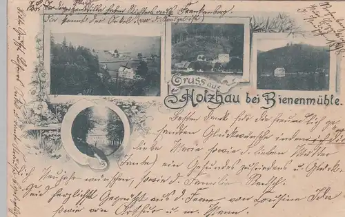 (105164) AK Gruß aus Holzhau bei Bienenmühle, Mehrbildkarte 1898
