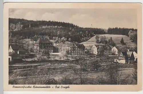 (105163) Foto AK Bienenmühle, Erzgebirge, Panorama 1955