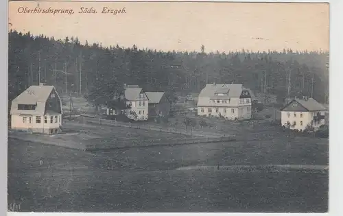 (105146) AK Oberhirschsprung, Altenberg, Erzgebirge, Ortsansicht, um 1922