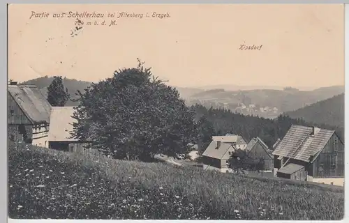 (105123) AK Schellerhau, Altenberg, Erzgebirge, Ortsansicht, Kipsdorf 1915