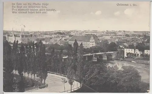 (104680) AK Grimma i.Sa., Panorama m. Gedicht, 1910