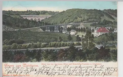 (104485) AK Gruss aus Waldheim, Blick v.d. Goldenen Höhe a. Eisenbahn-Viadukte,