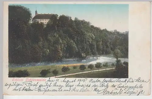 (103148) AK Niederwiesa, Schloss Lichtenwalde, 1905