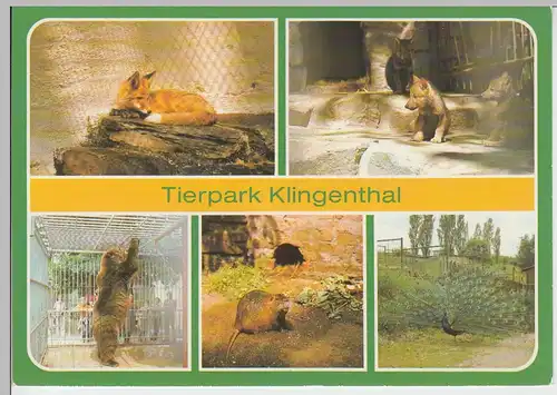 (102861) AK Tierpark Klingenthal, Sachsen, Mehrbildkarte, Fuchs, Wolf, Nutria, G