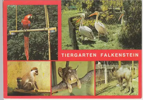 (102448) AK Falkenstein / Vogtl., Mehrbildkarte Tiergarten 1988