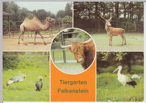 (102447) AK Falkenstein / Vogtl., Mehrbildkarte Tiergarten 1983