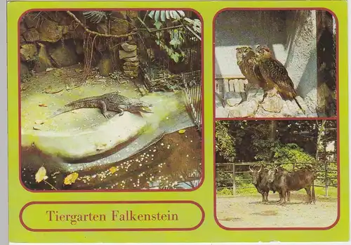 (102446) AK Falkenstein / Vogtl., Mehrbildkarte Tiergarten 1983