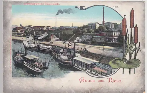 (101710) AK Gruss aus Riesa, Landungsplatz der Dampfschiffe, vor 1905