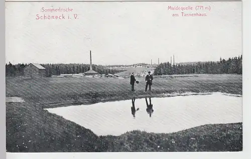 (101162) AK Schöneck, Vogtland, Muldequelle am Tannenhaus, um 1908