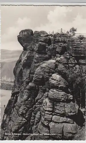 (100675) Foto AK Sächsische Schweiz, Mulattenkopf am Lilienstein, 1959