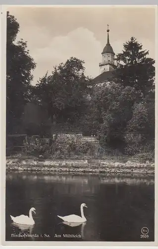 (100642) Foto AK Bischofswerda, Am Mühlteich, 1920er