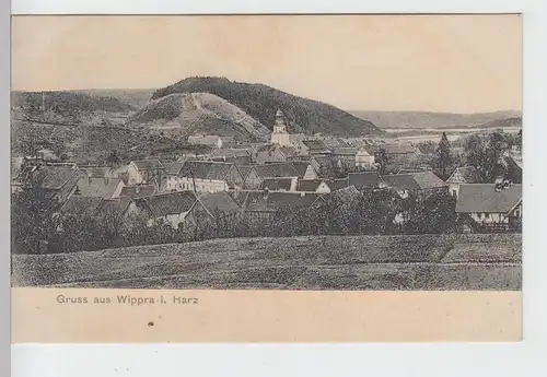(99974) AK Gruß aus Wippra, Sangerhausen, Panorama 1913