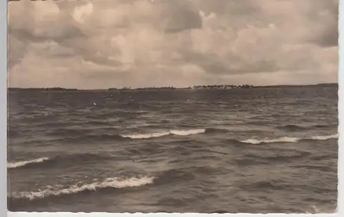 (99903) Foto AK Arendsee, Altmark, Blick über d. See, Sonderstempel 1960