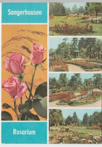 (99222) AK Sangerhausen, Mehrbildkarte Rosarium, 1969