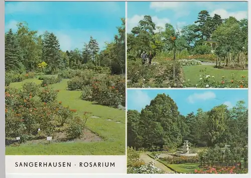 (99218) AK Sangerhausen, Mehrbildkarte Rosarium, 1975