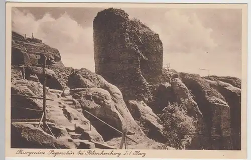 (96957) AK Regenstein bei Blankenburg am Harz, Burgruine vor 1945