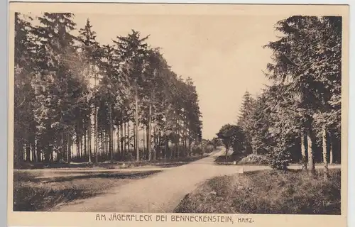 (96951) AK Am Jägerfleck bei Benneckenstein (Harz), vor 1945