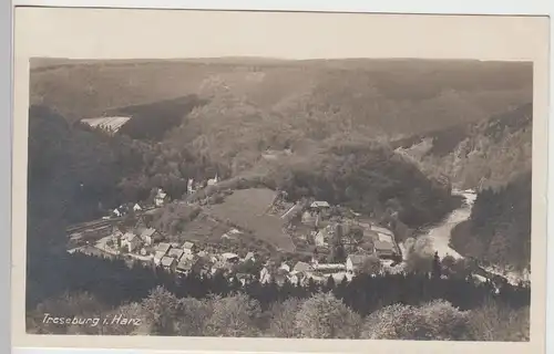 (96945) AK Treseburg im Harz, Gesamtansicht 1928