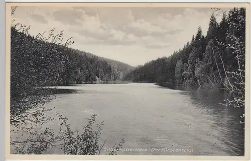 (96936) AK Silberhütte im Harz (Harzgerode), Fürstenteich