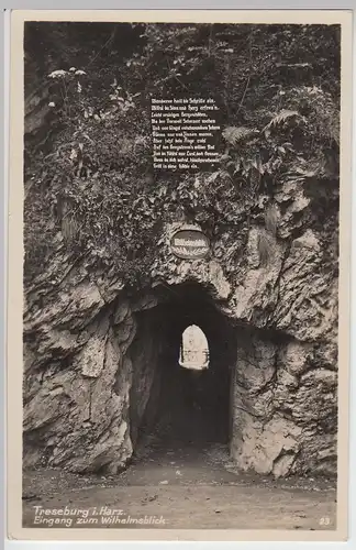 (93974) Foto AK Treseburg im Harz, Eingang zum Wilhelmsblick, 1935