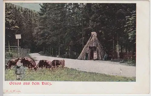 (93102) AK Gruß aus dem Harz, Rinderherde, Köte, vor 1945