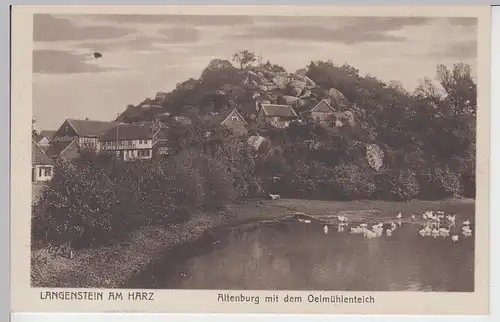 (93095) AK Langenstein, Halberstadt, Altenburg, Oelmühlenteich, v. 1945