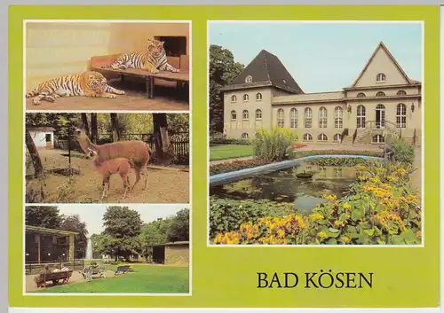 (92409) AK Bad Kösen, Tierpark Mehrbildkarte, 1986