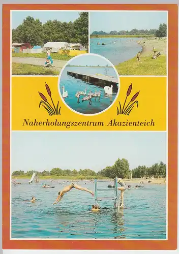 (91935) AK Aken, Akazienteich, Mehrbildkarte, 1989