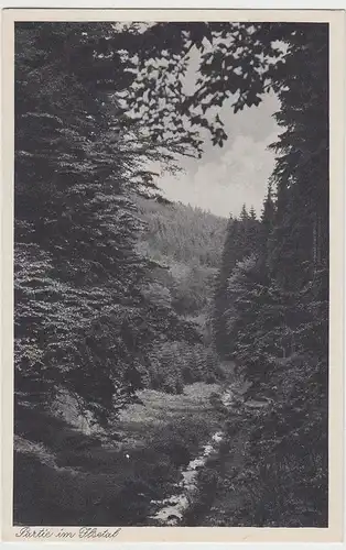 (90894) AK Partie im Ilsetal, vor 1945