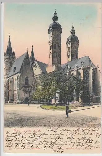 (90879) AK Naumburg a.S., Dom, vor 1905 (gel. 1909)