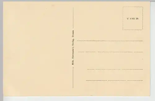 (90396) AK Oranienbaum, Schlosspark, vor 1945