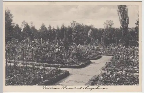 (90322) AK Sangerhausen, Rosarium, 1936