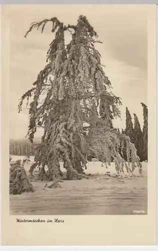 (8950) Foto AK Harz Winterwald 1955